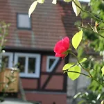 Omas Linde