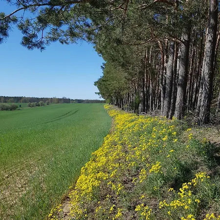 Апартаменты Omas Linde Бранденбург