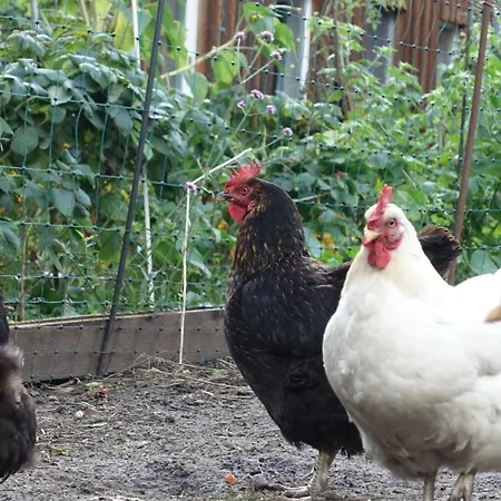 Apartamento Omas Linde *