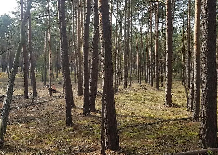 Apartamento Omas Linde *