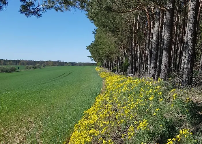 Apartamento Omas Linde Brandenburg (Brandenburg an der Havel)