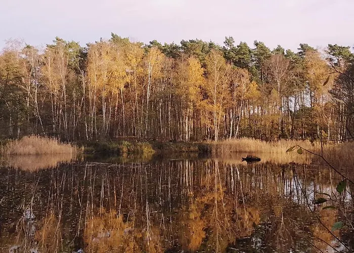 Omas Linde Brandenburg (Brandenburg an der Havel)